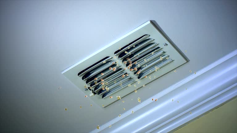 Best Dryer Vent Cleaning Services  in Rolling Meadows, IL