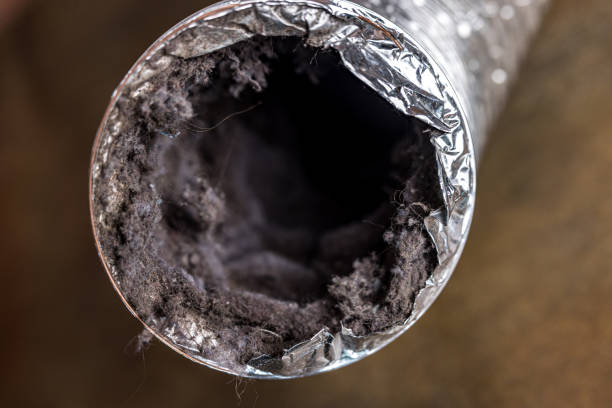 Best Air Duct Cleaning Near Me  in Rolling Meadows, IL