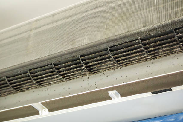 Best Residential Air Duct Cleaning  in Rolling Meadows, IL